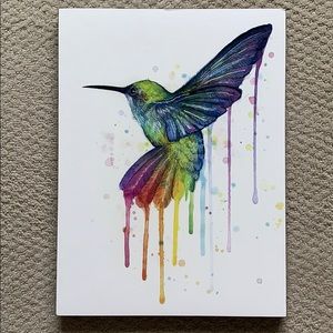 🔥 2 for 25 🔥Hummingbird colourful wall art print